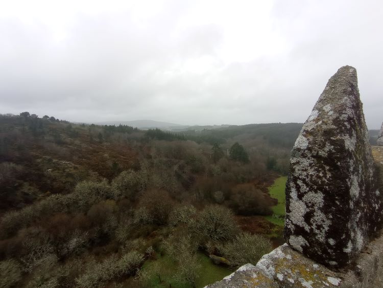 Vigilancia desde la torre del homenaje